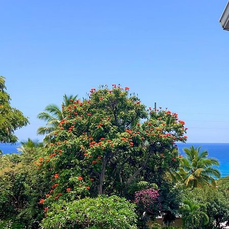 A Little Aloha Daire Kailua-Kona Dış mekan fotoğraf