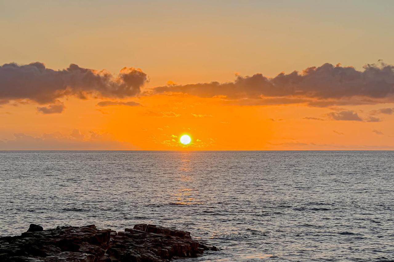 A Little Aloha Daire Kailua-Kona Dış mekan fotoğraf
