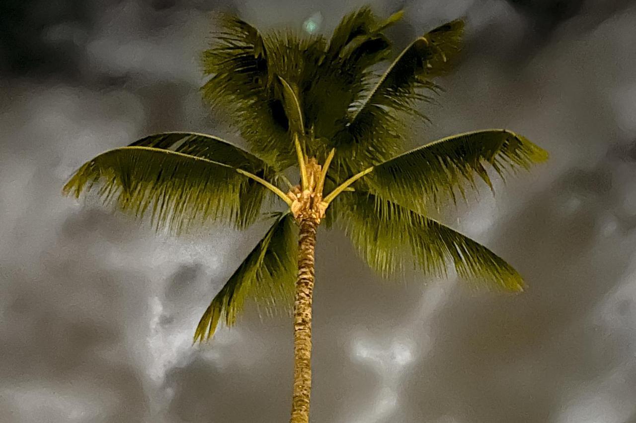 A Little Aloha Daire Kailua-Kona Dış mekan fotoğraf